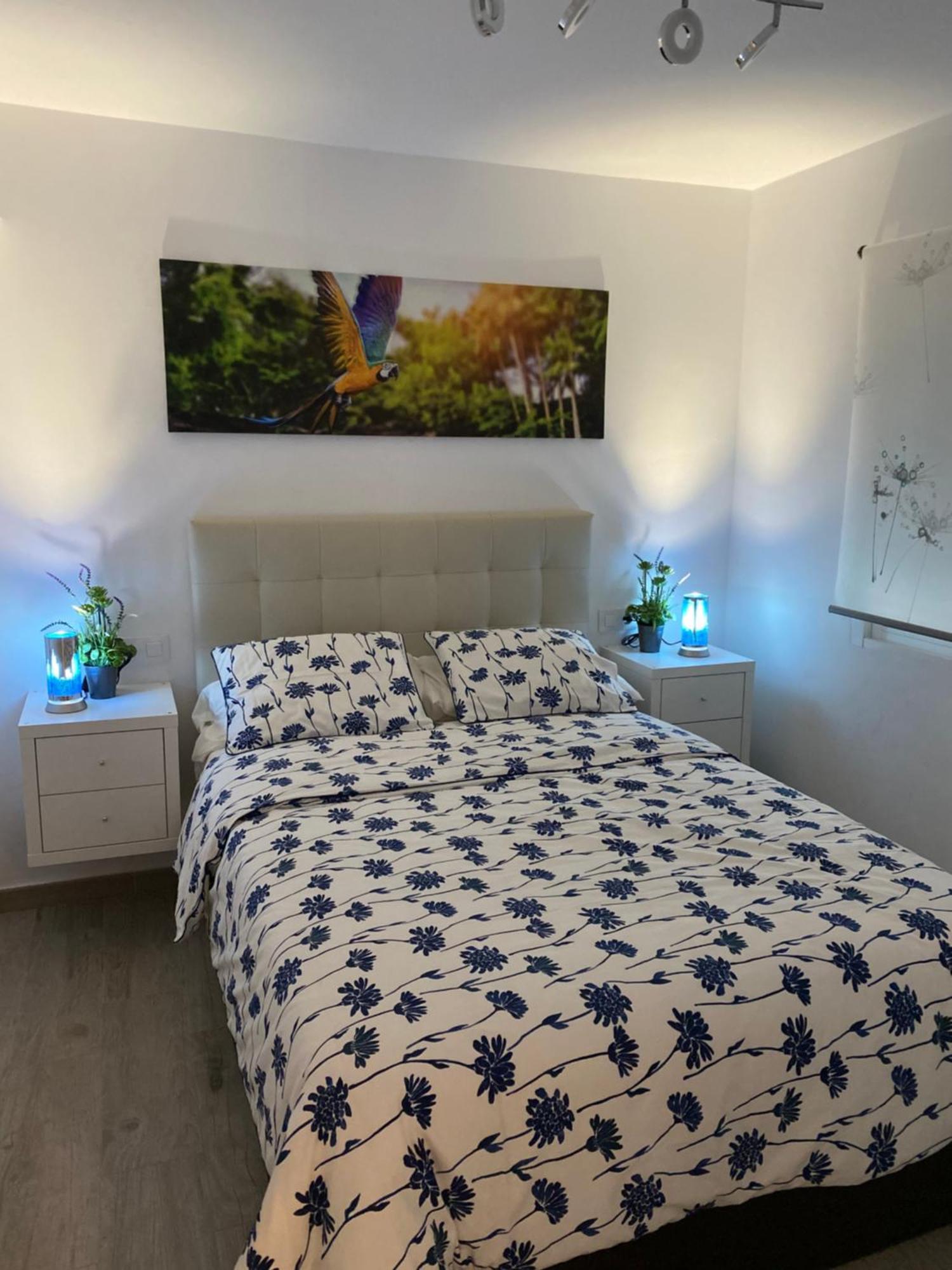Apartamento Sevilla Enzo Eksteriør billede